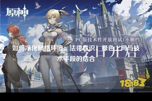 如何净化网络环境：法律意识、绿色上网与技术手段的结合