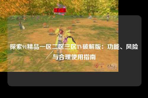 探索91精品一区二区三区TV破解版：功能、风险与合理使用指南